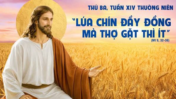 THỨ BA TUẦN 14 THƯỜNG NIÊN - NĂM A